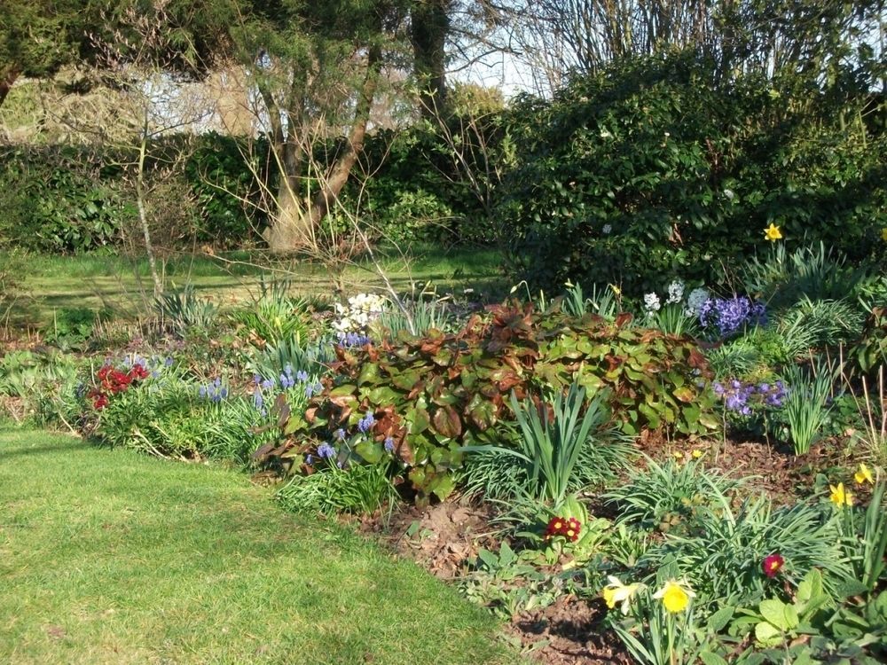 שיפנאל Church Farm B&B Near Telford And Ironbridge מראה חיצוני תמונה