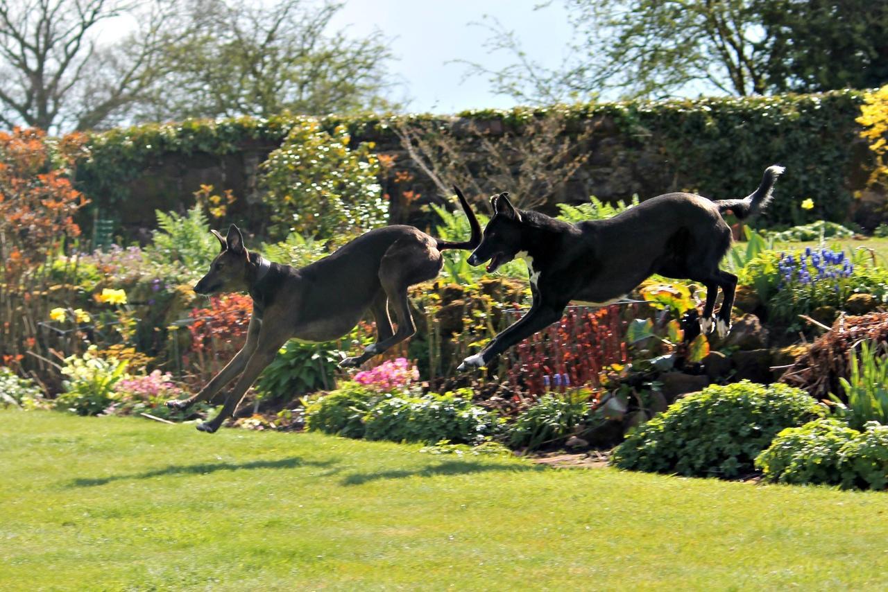 שיפנאל Church Farm B&B Near Telford And Ironbridge מראה חיצוני תמונה